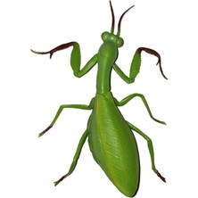 MEGA Stretch Çekirge