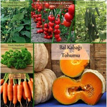 Delixa 6 Paket Tohum No4 Hibrit F1 Salatalık Tohumları Domates - Frenk Maydanozu Tohumu Havuç Tohumu ...