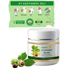 Hsc Bilişim Organicsun At Kestanesi Balsamı Jeli Kas ve Eklem Besleyici Masaj Kremi 500 ml