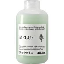 Davines Melu Mellow Kırılma Önleyici Parlaklık Şampuanı 250 ml