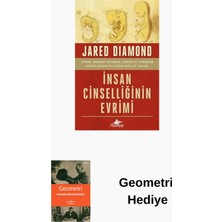 Pegasus Insan Cinselliğinin Evrimi + Geometri Hediye