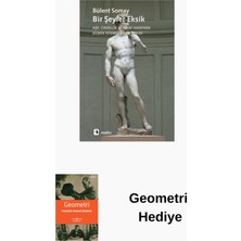Metis Yayınları Bir Şeyler Eksik + Geometri Hediye