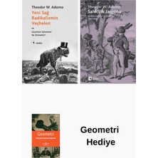 Metis Yayınları Theodor W. Adorno 2 Kitap Seti + Geometri Hediye