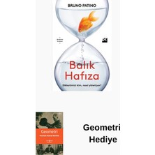 Doğan Kitap Balık Hafıza - Dikkatimizi Kim Nasıl Yönetiyor? + Geometri Hediye