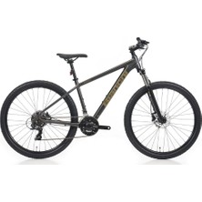 Bianchi Magma 27.3 38 Kadro Gri-Bakır
