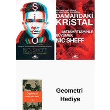 Pegasus Nic Sheff 2 Kitap Seti + Geometri Hediye