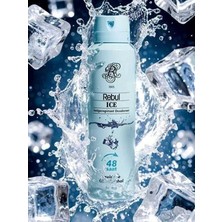 Rebul Erkek Sprey Deodorant Ice 150 ml