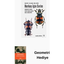 Metis Yayınları Herkes Için Evrim + Geometri Hediye