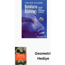 Metis Yayınları Balıkların Bildikleri - Sualtında Yaşayan Kuzen... + Geometri Hediye