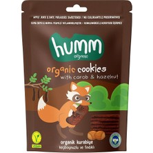 Humm organic Organik Vegan Keçiboynuzlu ve Fındıklı Kurabiye 55 gr