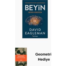Domingo Yayınevi Beyin Senin Hikayen + Geometri Hediye