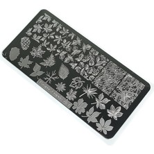 Zemira Nail Stamping Baskı Plakası VV27