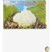 Xushi Gıda Beyaz Mantar ( White Fungus ) - 20G