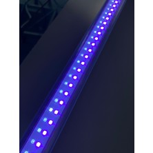 Secol Uv-A LED Floresan