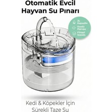 Vexgen 4 Berry Filtreli Otomatik Evcil Hayvan Su Pınarı 2l Sessiz Pompa Kedi Köpek Su Sebili