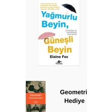 Pegasus Yağmurlu Beyin Güneşli Beyin + Geometri Hediye