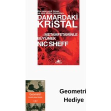 Pegasus Damardaki Kristal: Metamfetaminle Büyümek + Geometri Hediye