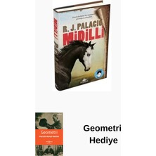 Pegasus Midilli + Geometri Hediye