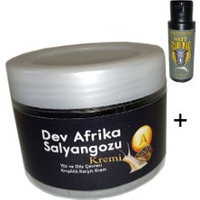 Rota Style Giant Yaşlanmakarşıtı Dev Afrikasalyangozu 100ML Kremi + Hotrhino Analrenk Açıcıkrem 60 ml