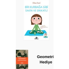 Pegasus Bir Kurbağa Gibi Sakin ve Dikkatli + Geometri Hediye