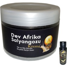 Rota Style Giant Dev Afrikasalyangozu Yaşlanmakarşıtı 100 ml Krem + Caraboa Bay Bayan Kaydırıcıjel 60 ml