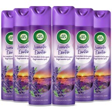 Zemira Air Wick Aerosol Lavanta Esintisi Oda Kokusu (6 x 300 Ml)