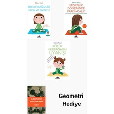 Pegasus Eline Snel 3 Kitap Seti + Geometri Hediye
