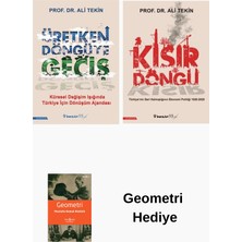 İnkılap Kitabevi Ali Tekin 2 Kitap Seti + Geometri Hediye