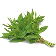 Zemira Nane (Çoklu Tohum) - 3 Gram