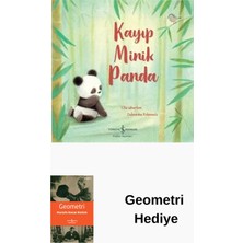 İş Bankası Kültür Yayınları Kayıp Minik Panda + Geometri Hediye