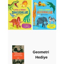 Remzi Kitabevi Abigail Wheatley 2 Kitap Seti + Geometri Hediye