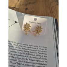 Stainless Steel Yıldız Figürlü Zirkon Taşlı Altın Kaplama Çelik Küpe – Suya Dayanıklı & Alerji Dostu