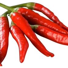 Zemira Bi̇ber Hatay Aci (Çoklu Tohum) - 5 Gram