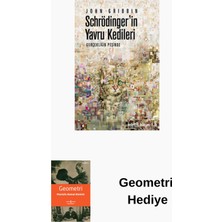 Metis Yayınları Schrödinger'in Yavru Kedileri + Geometri Hediye