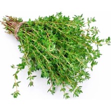 Zemira Keki̇k (Çoklu Tohum) - 3 Gram