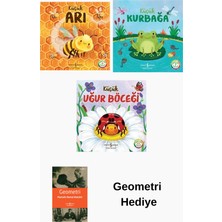 İş Bankası Kültür Yayınları Katie Taylor 3 Kitap Seti + Geometri Hediye