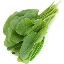 Zemira Kuzukulaği Ekşi̇ (Çoklu Tohum) - 3 Gram