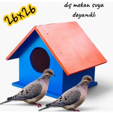 ncy Ahşap Kumru ve Güvercin Cennet Sultan Papağanı Yuvası Dış Mekan Suya Dayanıklı 26x26x30 cm