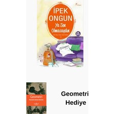 Artemis Yayınları Bir Genç Kızın Gizli Defteri - 9 Ya Sen Olmasaydın + Geometri Hediye