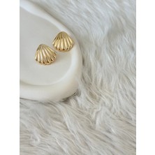 Revoia Deniz Kabuğu Form Gold Küpe