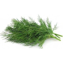 Zemira Dereotu Kokulu (Çoklu Tohum) - 5 Gram