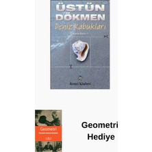 Remzi Kitabevi Deniz Kabukları - Küçük Şeyler 1 + Geometri Hediye