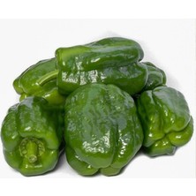 Zemira Dolmalik Bi̇ber Antep Aci (Çoklu Tohum) - 5 Gram
