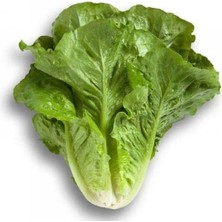 Zemira Marul Yedi̇kule (Çoklu Tohum) - 5 Gram