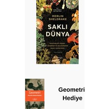 Domingo Yayınevi Saklı Dünya + Geometri Hediye