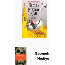 İletişim Yayınları Uçmak Isteyen Kedi + Geometri Hediye