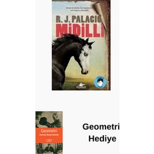 Pegasus Midilli + Geometri Hediye