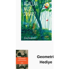 Domingo Yayınevi Ağaçlar Nasıl Doğar? + Geometri Hediye