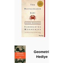 Domingo Yayınevi Tüm Hastalıkların Şahı + Geometri Hediye