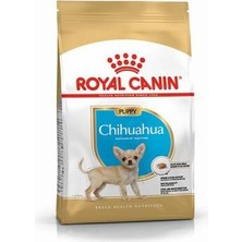 Bezos Chihuahua Puppy Yavru Köpek Maması 1,5 kg